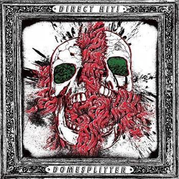 Domesplitter VINYL