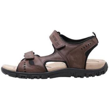 Deportivo Geox para hombre en color marrón
