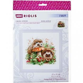 Riolis - Cuadro de Punto de Cruz, diseño de erizos y arándanos, Multicolor