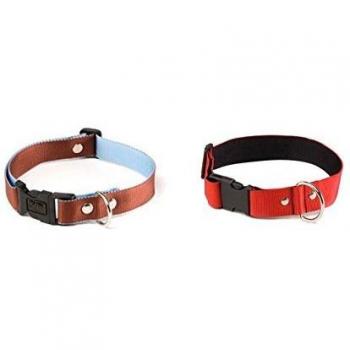 Collar y correa para perro Martin Sellier S, tamaño pequeño, ideal para paseos