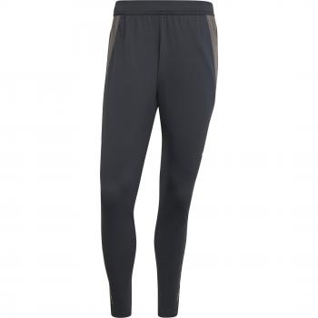 Real Madrid 2024/25 Men's Training Pants - Dark Grey, Charcoal, Putty Mauve