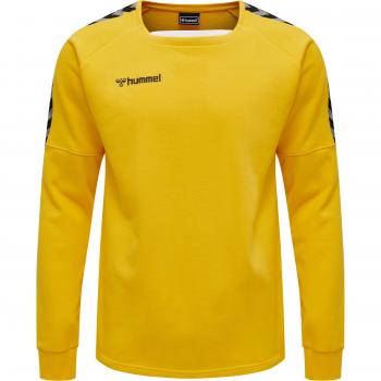 Hummel Sudadera Authentic Training, tipo: sudadera, características: diseño auténtico, adecuada para entrenamiento deportivo, disponible en tallas como XX-Large, fabricada por Hummel