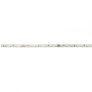 Tira LED Regulable 62W CCT Sintonizable 3000K-6500K 24V IP65 5 Metros