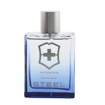 Victorinox Steel Eau De Toilette Spray 100ml/3.4oz