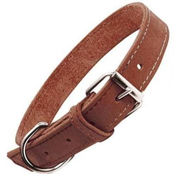 Collar para Perro de Cuero Gloria Oasis Marrón (45 x 1,8 cm)