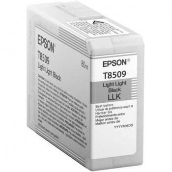 Epson Singlepack Light Light Black Ink Cartridge T850900