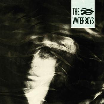 The Waterboys - Vinyl Record