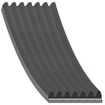 Correa Trapecial Poli V Multi-Rib AD07R1036 de Blue Print