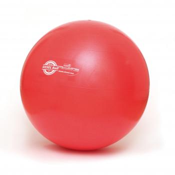Sissel - Pelota de Gimnasia Rojo Rojo Talla:65 cm