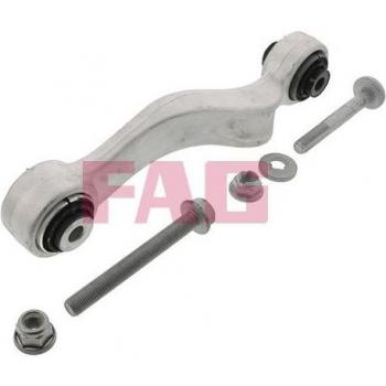 FAG Barra Oscilante de Suspensión de Ruedas Control Arm 821 0979 10