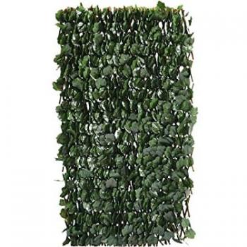 Valla de Sauce Fragon - 200 x 100 cm - Verde - Anti-UV