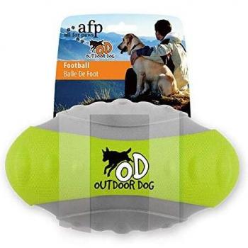 ALL FOR PAWS Pelota out Door, Rugby, 24 cm, Color Verde
