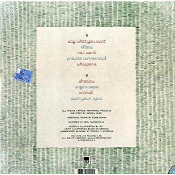 Realisationship Instrumentals Vinyl Record
