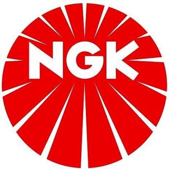 Juego de cables de encendido NGK 8621