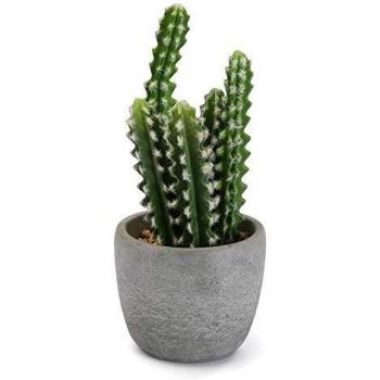Versa Cactus En Maceta Cemento, Multicolor, No Aplica