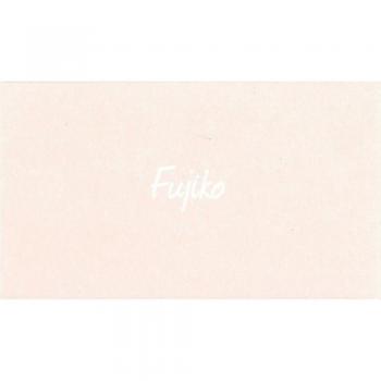 Fujiko Kanara Bugko Plus Pre 04 Carved Deep Nude Light and Shadow Eyeshadow