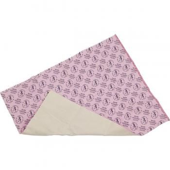Dual Anti-Tarnish Silver Polishing Cloth 30cm x 46cm by Town Talk