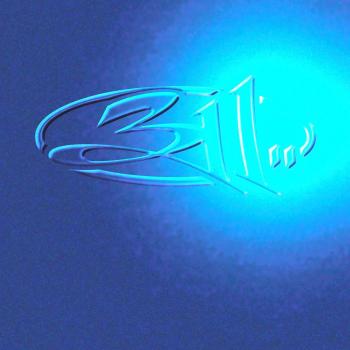 311 [VINYL]