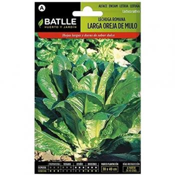 Lechuga LARGA OREJA DE MULO