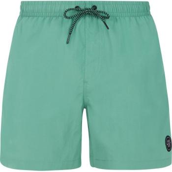 Bañador de hombre Faster Protest Verde (L)