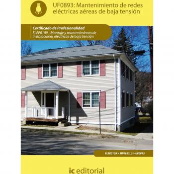 Mantenimiento de redes eléctricas aéreas de baja tensión. elee0109