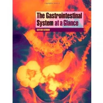 The Gastrointestinal System at a Glance