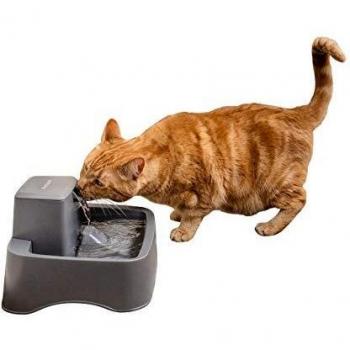 PetSafe Pet Water, Grey, 1/2 Gallon Fountain