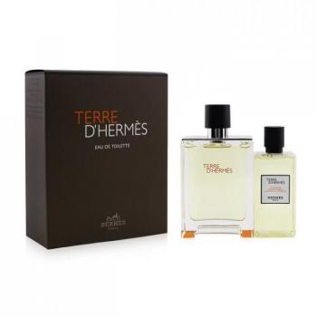 Hermès Terre d'Hermès Gift Set: Eau de Toilette Spray 100ml + Hair and Body Shower Gel 80ml