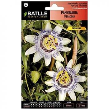 Semillas de Flores - Pasionaria Trepadora - Batlle