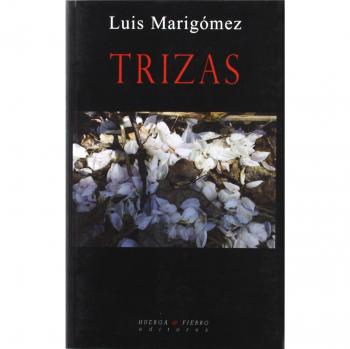 Trizas