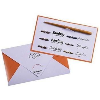 Caligrafía Juego de pluma estilográfica