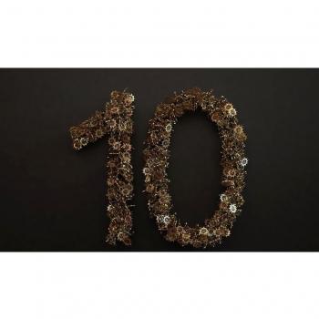 10 Years (22x14 inch, 56x35 cm) Silk Poster Seda Cartel PJ13-A6AC