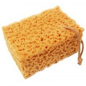 Panal grande coche Coral suave Durable detergente esponja Kit rica Espuma esponja de limpieza
