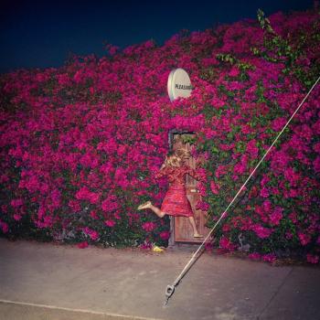 Pleasure [Vinilo] - Feist