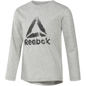 Camiseta de Manga Larga Reebok para Niños en Color Gris - Sportswear Boys Training Essentials