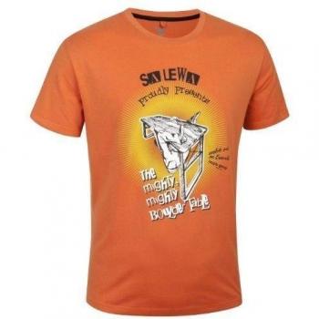 Salewa Camiseta Might Co M Naranja ES 46