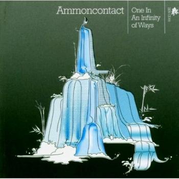 One in An Infinite of Ways - Ammoncontact