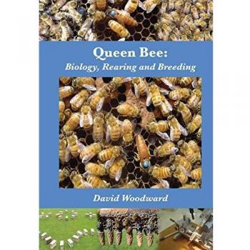 Abeja Reina: Biología, Crianza y Cría