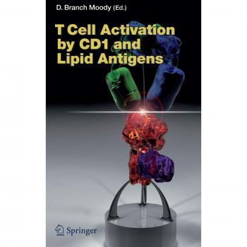 T Cell Activation by CD1 and Lipid Antigens