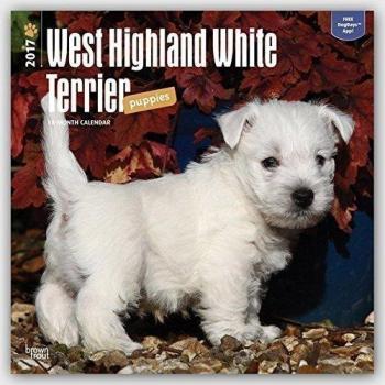 West Highland White Terrier Puppies - Westy-Welpen 2017 - 18-Monatskalender mit freier DogDays-App: Original BrownTrout-Kalender