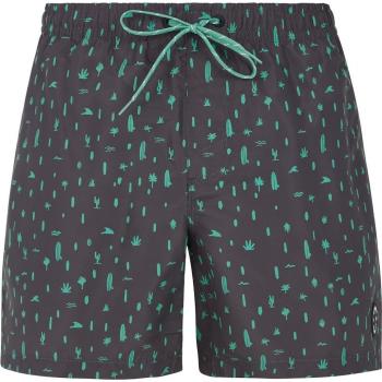 Bañador de hombre Protest Prtgrom Gris (M)