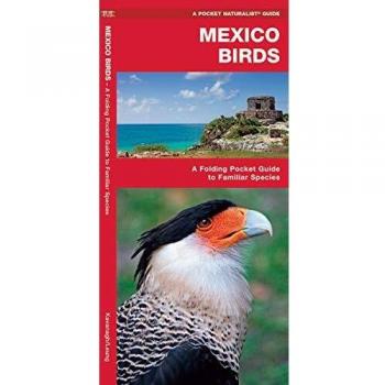 Mexico Birds: A Folding Pocket Guide to Familiar Species