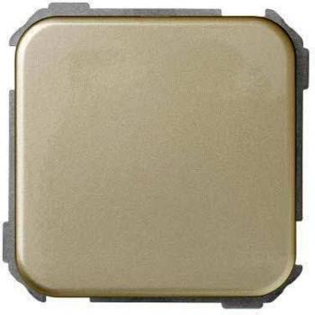 Simon 31800-34 - Plaquita Ciega