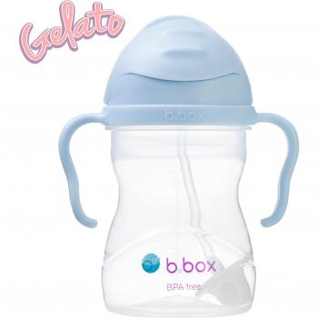 Blueberry Sippy Cup