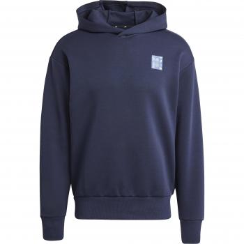 Ajax Amsterdam 2024/25 Seasonal Doubleknit Hoodie