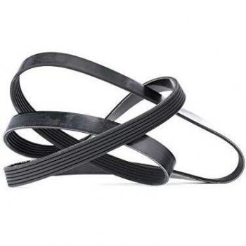 Dayco 6PK1565 Correa trapecial poli V