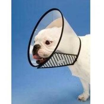 Freedog FD1200028 - Protector isabelino, para Perro, Color Transparente