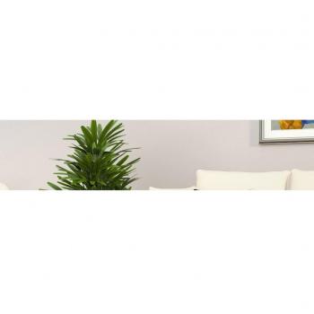 Mesa de centro madera contrachapada 80x80x36,5 cm en color blanco y negro brillante, ideal para salón o comedor, también conocida como mesita auxiliar o mesa de café
