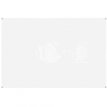 Lona Transparente con Ojales 2x3 m PVC