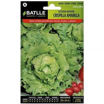 Semillas Hortícolas - Lechuga Batavia Crispilla amarilla - Batlle